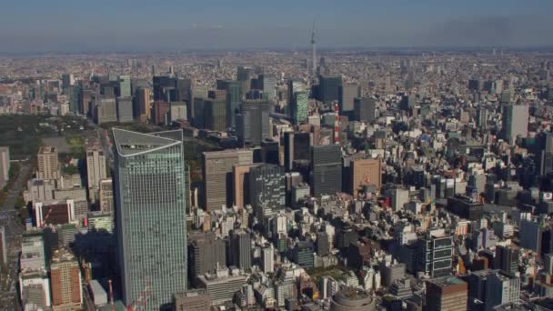 Tokio Japón Circa 2018 Volando Sobre Tokio Con Tokyo Skytree — Vídeos de Stock