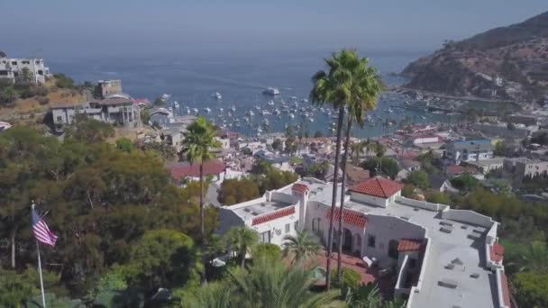 Letecký Pohled Avalon Přístav Ostrov Catalina Kalifornie — Stock video