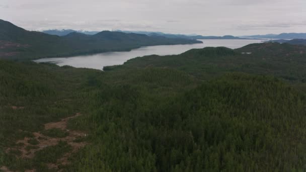 British Columbia Circa 2018 Letíme Nad Zálivy Jezery Podél Pobřeží — Stock video