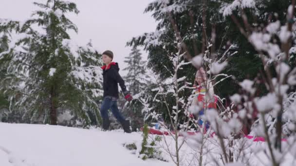 Barn Går Genom Snö Med Slädar Vintern — Stockvideo