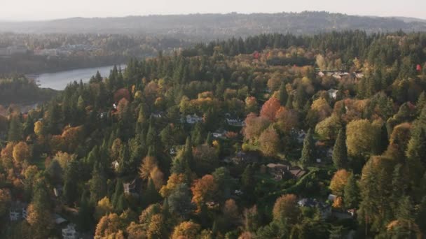 Portland Oregon Około 2017 Zdjęcie Lotnicze Terenu Jeziora Oswego Jesieni — Wideo stockowe