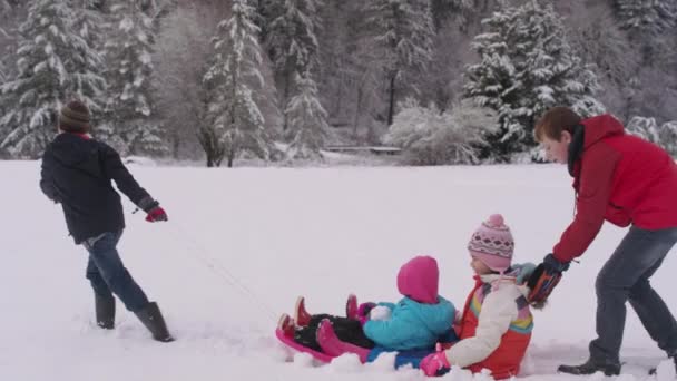 Bambini Che Giocano Spingono Slitta Nella Neve Invernale — Video Stock