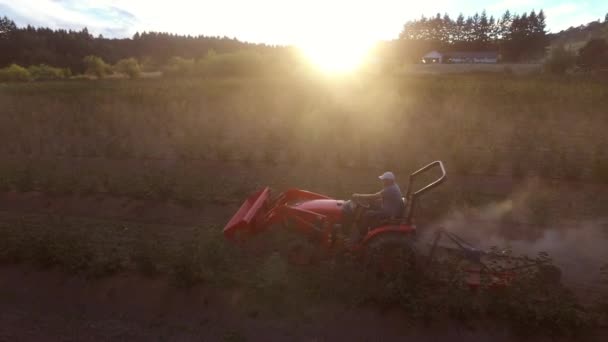 Agricultor Siega Cultivos Polvorientos Tractor — Vídeo de stock