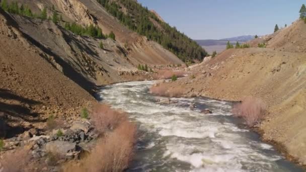 Yellowstone National Park Wyoming Luchtfoto Van Yellowstone National Park Schot — Stockvideo