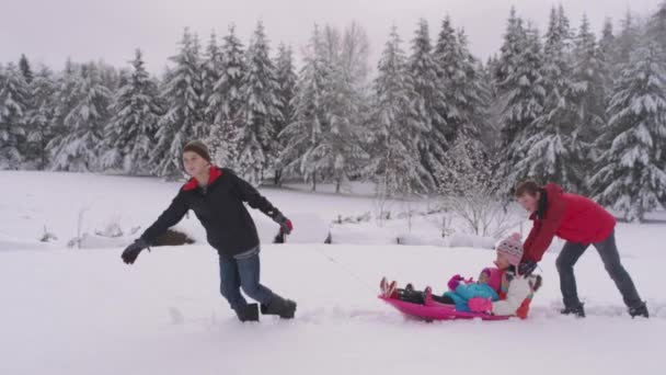 Bambini Che Giocano Spingono Slitta Nella Neve Invernale — Video Stock