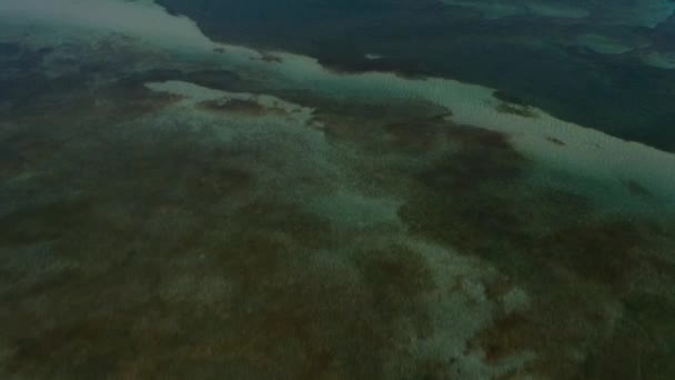 공중에서 플로리다주 마이애미 해안의 산호초 — 비디오