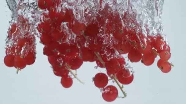 Captura Cámara Lenta Grosellas Rojas Salpicando Agua Disparada Con Cámara — Vídeo de stock