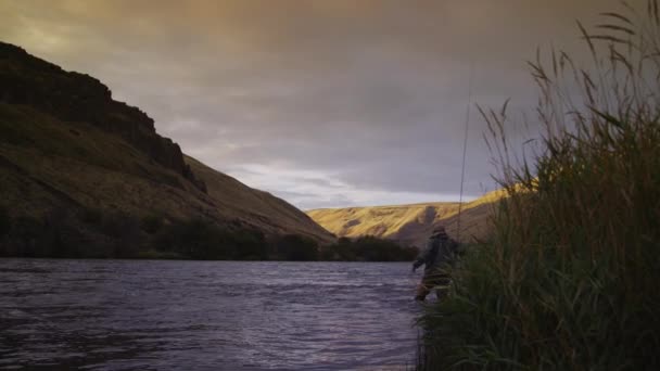 Άνθρωπος Πετάει Ψαρεύοντας Στο Όμορφο Ποτάμι Ξημέρωμα — Αρχείο Βίντεο