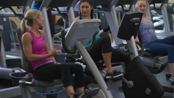 체육관에서 일하는 일단의 여성들 — 비디오