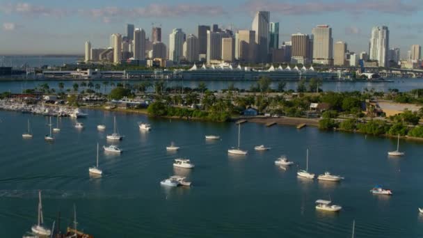 Vista Aérea Barcos Bahía Con Miami Florida Fondo — Vídeos de Stock