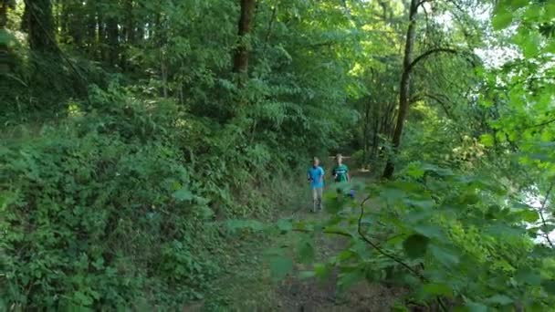 Kaksi Poikaa Kävelee Metsässä Pyydysten Kanssa — kuvapankkivideo