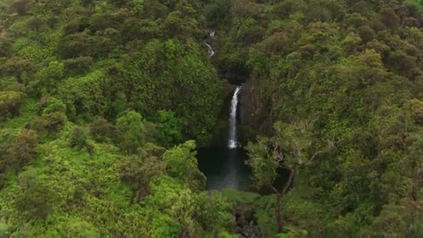 Maui Hawaï Circa 2018 Luchtfoto Van Maui Watervallen Opgenomen Met — Stockvideo