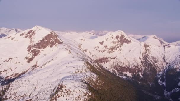 2018年から2018年にかけてカナダのブリティッシュコロンビア州 雪の空中ビューの山の範囲をカバー CineflexジンバルとRed Epic Wカメラでヘリコプターから撮影 — ストック動画
