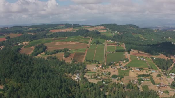 Dundee Hills Oregon Circa 2018 Aerial View Oregon Wine Country — Stock Video