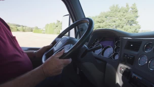 Interior Tiro Motorista Caminhão Condução Semi Caminhão Totalmente Liberado Para — Vídeo de Stock