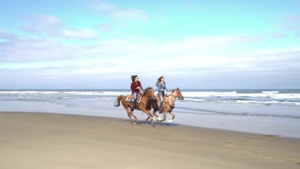 Frauen Auf Pferden Strand — Stockvideo