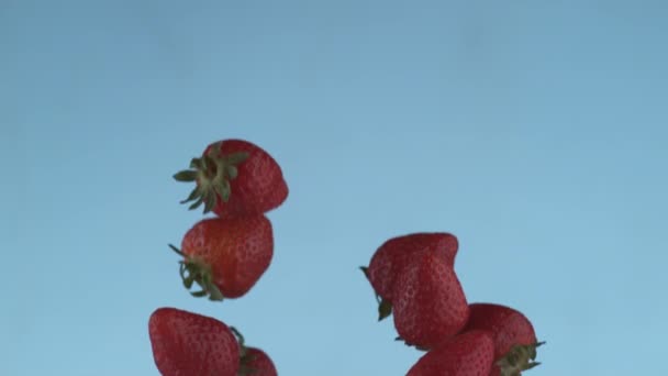Erdbeeren Fliegen Zeitlupe Aufgenommen Mit Phantom Flex Bei 1000 Bildern — Stockvideo