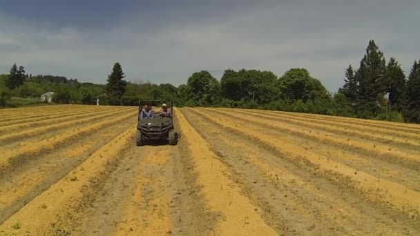 ファームでバギーを運転する 人の農民の空中ショット — ストック動画