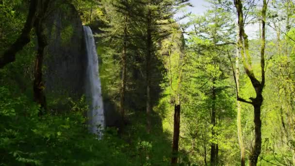 Wasserfall Umrahmt Von Bäumen Columbia River Gorge Oregon — Stockvideo