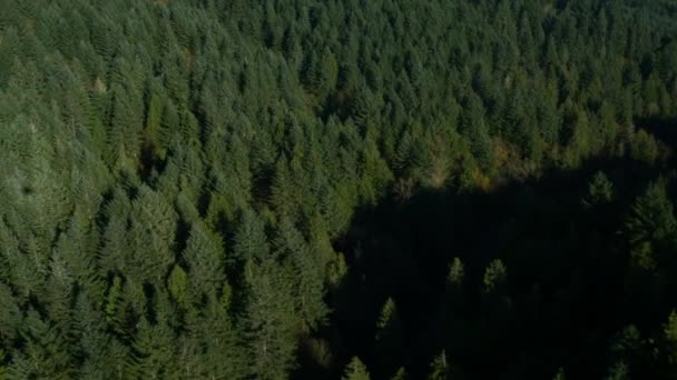 俄勒冈森林的空中拍摄 Ultra — 图库视频影像
