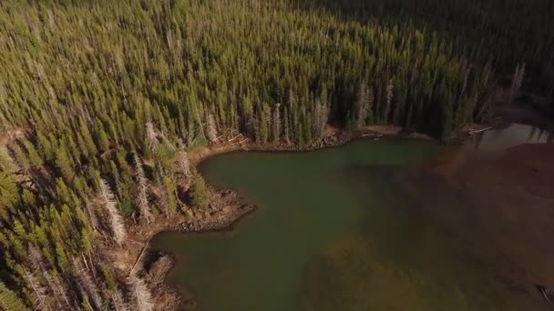 Luchtfoto Van Sparks Lake Oregon — Stockvideo