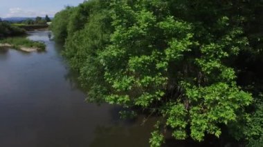Oregon 'daki Yamhill Nehri' nin hava görüntüsü.