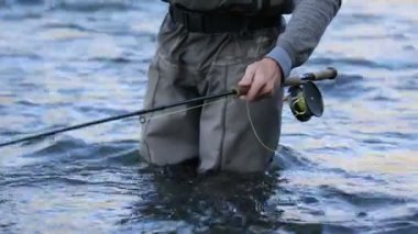 Sinek oltasını yakından çek.