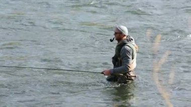 Adam sineği nehirde balık