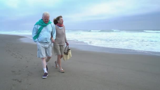 Seniorenpaar Spaziert Gemeinsam Strand — Stockvideo