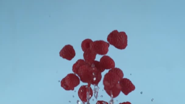 Raspberries Літає Повільному Русі Знімається Phantom Flex 1000 Кадрів Секунду — стокове відео