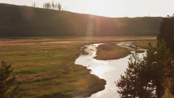 Yellowstone Nemzeti Park 2018 Patak Átfolyik Yellowstone — Stock videók