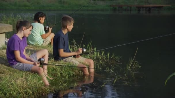 池で夏のキャンプ釣りの子供たち — ストック動画