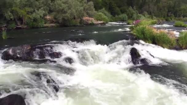 Colpo Aereo Rapide Acqua Bianca Rouge River Oregon Usa — Video Stock
