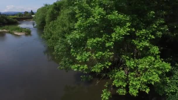 Αεροφωτογραφία Του Ποταμού Γιάμχιλ Όρεγκον — Αρχείο Βίντεο