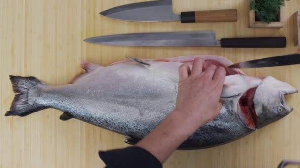 大規模な鮭の魚を切断シェフのオーバーヘッドショット — ストック動画