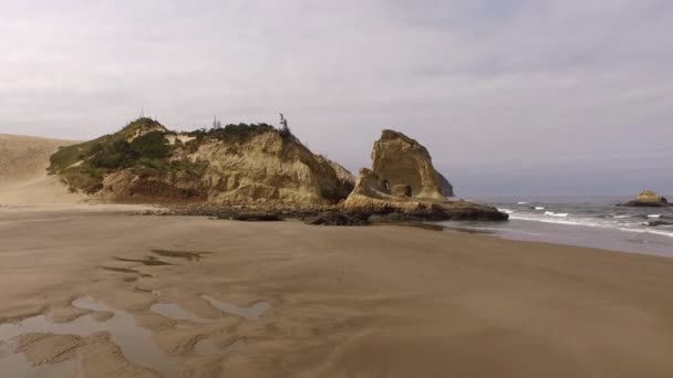 Skalní Útvary Podél Pobřeží Oregonu — Stock video