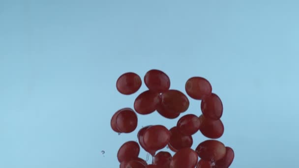 Виноград Летящий Замедленной Съемке Снятый Помощью Phantom Flex Скоростью 1000 — стоковое видео