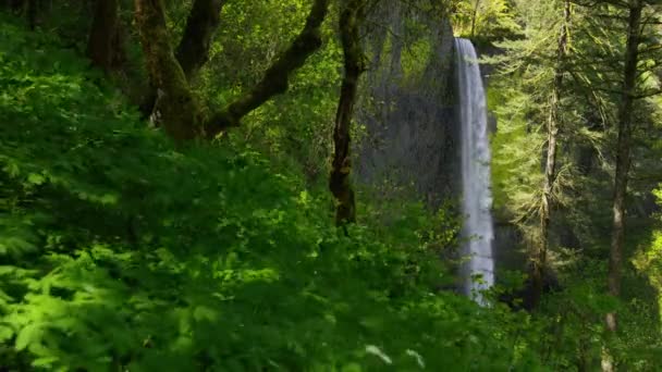 Καταρράκτης Πλαισιώνεται Από Δέντρα Columbia River Gorge Όρεγκον — Αρχείο Βίντεο