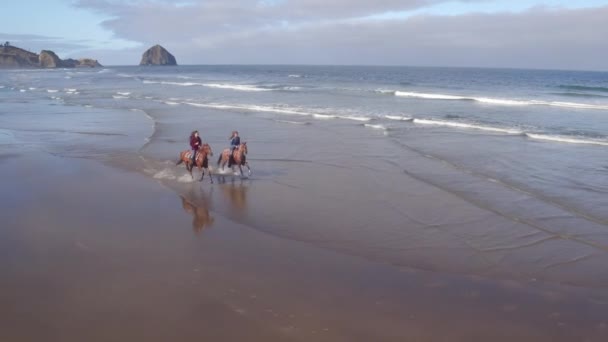 Вид Воздуха Женщин Верховой Езды Пляже — стоковое видео