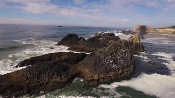 Vista Aérea Costa Oregón Seal Rock — Vídeo de stock