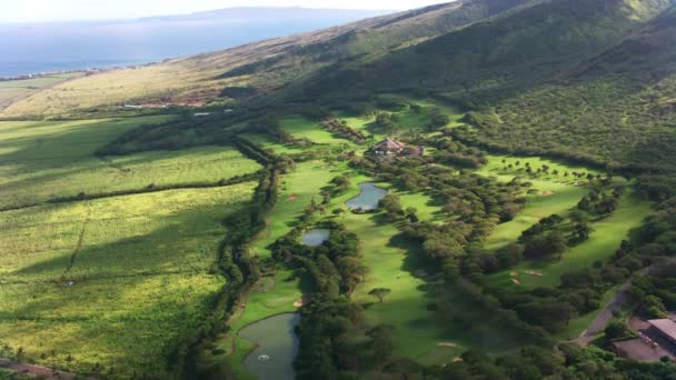 Maui Hawaje Około 2018 Roku Lotu Ptaka Widać Pole Golfowe — Wideo stockowe