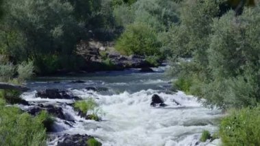 Beyaz su akıntıları sahnesi, Rouge River, Oregon, ABD