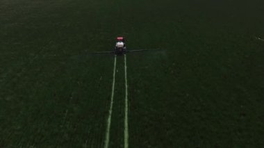 Traktörün çimen tohumu tarlası püskürttüğü hava görüntüsü.