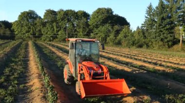Çiftçi traktörü tarlalardan aşağı sürüyor.
