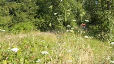 Oregon, ABD - 1 Ağustos 2014: Aile arabasıyla kamp alanına gitmek (Modeller tamamen serbest bırakıldı; Araç nedeniyle başyazı)