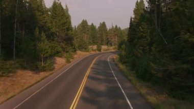 Grand Teton Ulusal Parkı 'nda yol boyunca araba sürüyorum.