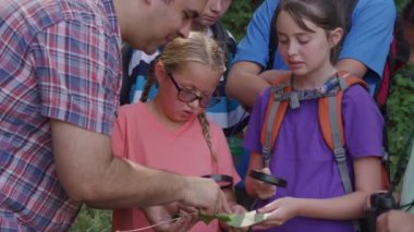 Yaz kampındaki çocuklar doğa yürüyüşündeki yaprağa bakıyor.