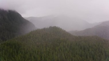 Alaska - yaklaşık 2018: Alaska kıyıları boyunca körfez ve adaların üzerinde uçmak. Helikopterden Cineflex gimbal ve RED Epic-W kamerasıyla çekildi..