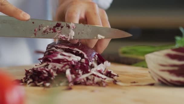 Close Shot Man Cutting Cabbage — Stock Video