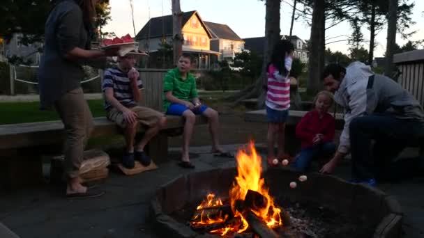Kamp Ateşinde Marşmelov Kızartan Bir Grup Insan — Stok video